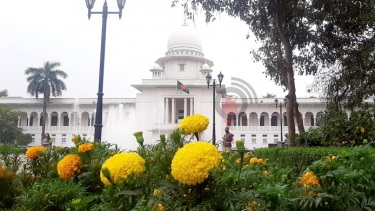 সরকারের পলিসি ডিসিশনে আদালতের নাক গলানো উচিত নয়: হাইকোর্ট