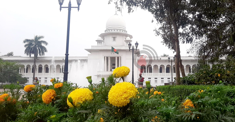 সরকারের পলিসি ডিসিশনে আদালতের নাক গলানো উচিত নয়: হাইকোর্ট