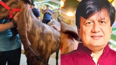 ‘ছাগলকাণ্ডে’ আলোচিত মতিউরের বিরুদ্ধে অভিযোগ গঠনের আদেশ ২১ জুলাই