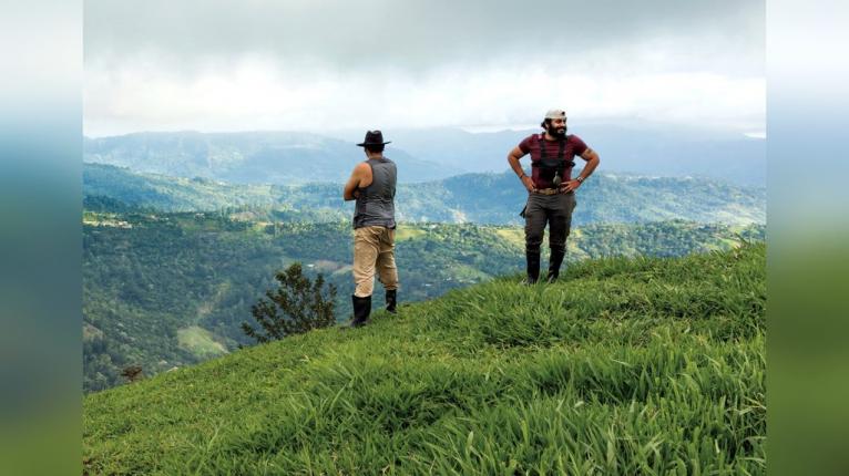 Searching for one of the world’s most beautiful snakes