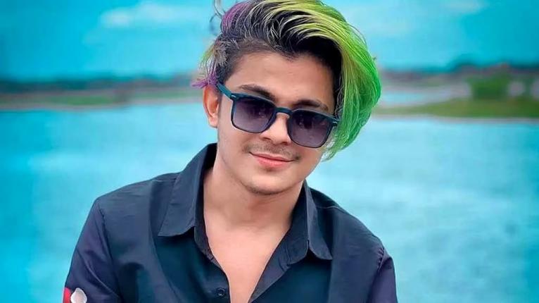 যৌতুক দাবি ও স্ত্রীকে নির্যাতনের মামলায় কারাগারে টিকটকার প্রিন্স মামুন