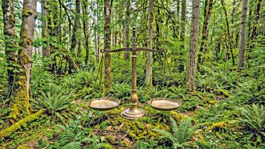 Protecting Bangladesh’s Ecological Heritage Through the Forest and Tree Conservation Act, 2026